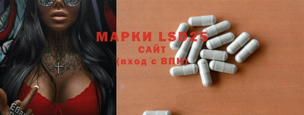 стаф Белокуриха